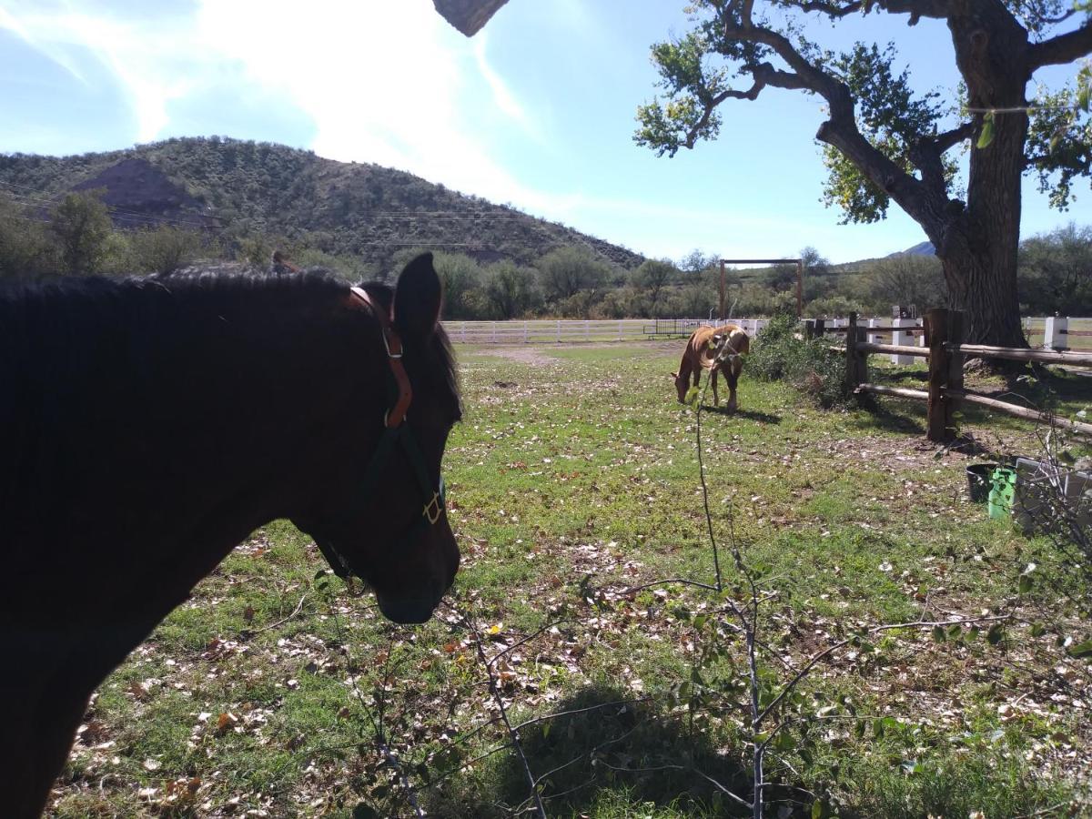 Rancho Santa Cruz Bed & Breakfast Tubac Екстериор снимка